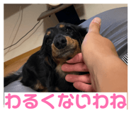 829783158