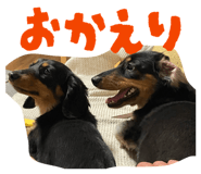 829783161