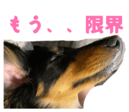 829783163