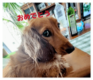 829855031