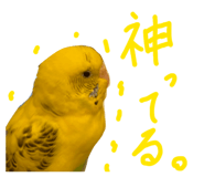 829863753
