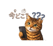 829884442