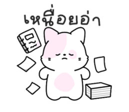 ลายที่ 11