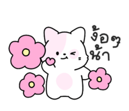 ลายที่ 13