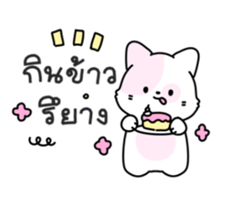 ลายที่ 17