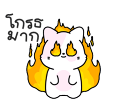 ลายที่ 23