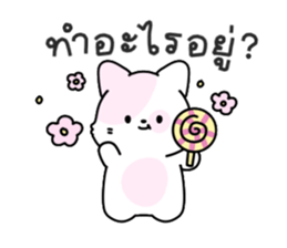 ลายที่ 25