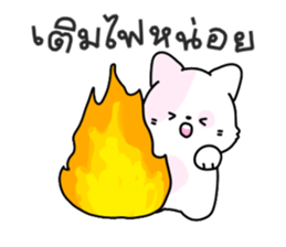 ลายที่ 31