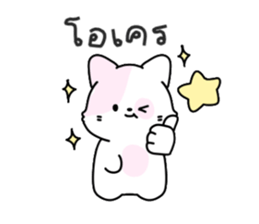 ลายที่ 37