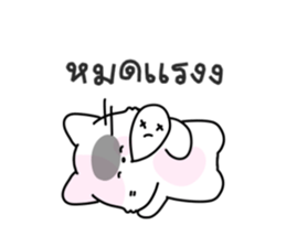 ลายที่ 41