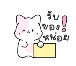 ลายที่ 43