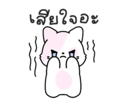 ลายที่ 53