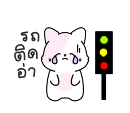 ลายที่ 57