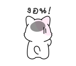 ลายที่ 63