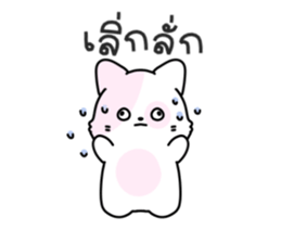 ลายที่ 71