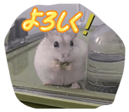 829888508