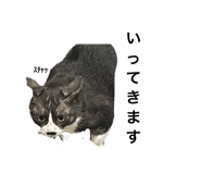 829888896
