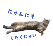 829896498