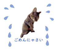 829896501