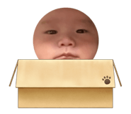 829896527