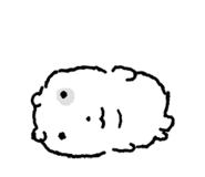 829918692