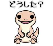 829920686