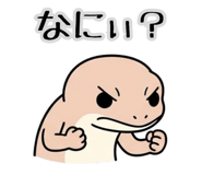829920702