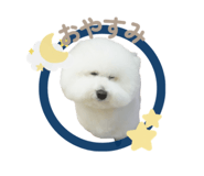 829937258