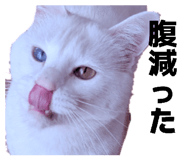 829949195