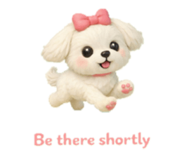 829955684
