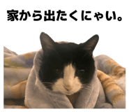 829972522