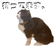 829972529