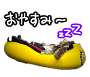 829973860