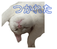 829974949