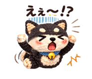 829982574