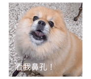 829987576