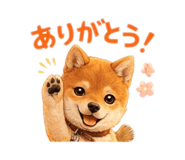 829988690