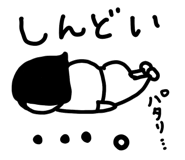 829992374