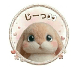 829996169