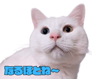 830009669