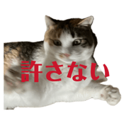 830011829