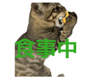 830011837