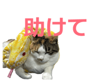 830011840