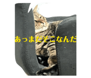 830011845