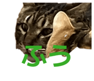 830011847