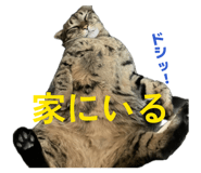 830011848