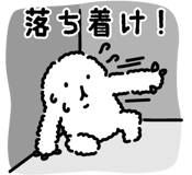 830041246