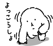 830041253