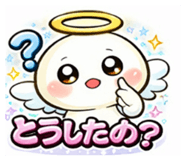 830049997