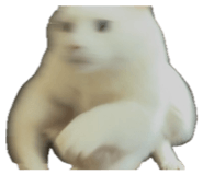 830057677